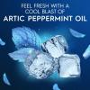 imageOralB Glide Peppermint Dental Floss Picks with Arctic Peppermint Oil Flavor 75 Count Pack of 375 Count Pack of 1