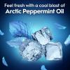 imageOralB Glide Peppermint Dental Floss Picks with Arctic Peppermint Oil Flavor 75 Count Pack of 375 Foot Pack of 3
